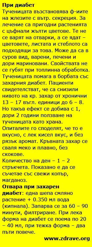 Tuchenica 2