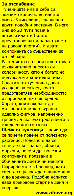 Tuchenica 3