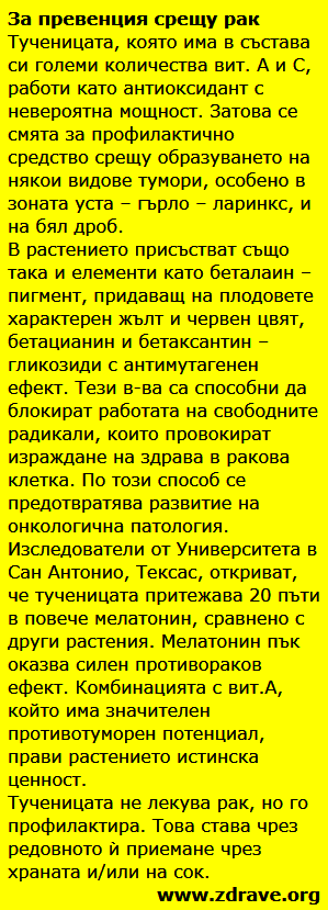 Tuchenica 4