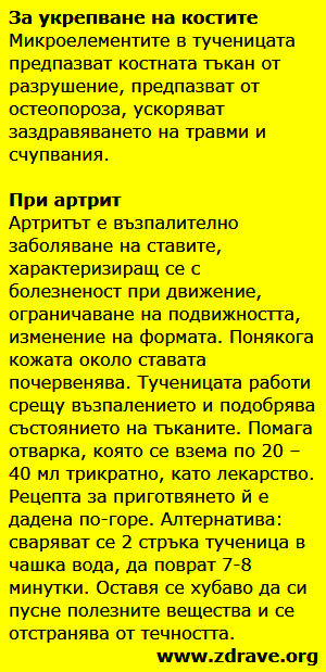 Tuchenica 5
