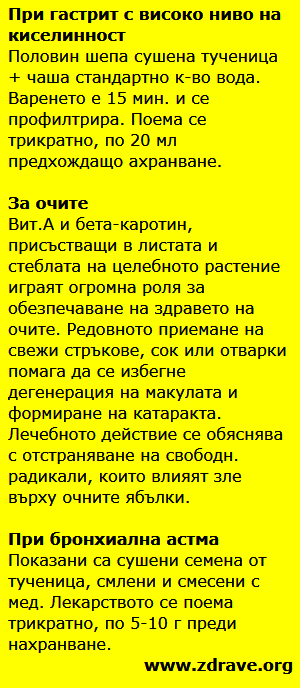 Tuchenica 6