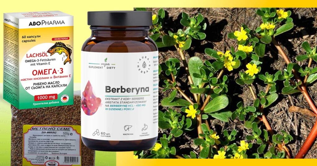 Билки за триглицериди. Сваляне на триглицериди с народна медицина. Липантил. Берберин, Ниацин или Розувастатин, Аторис и др лекарства?