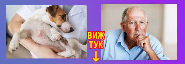 Колко години се живее с лупус 4