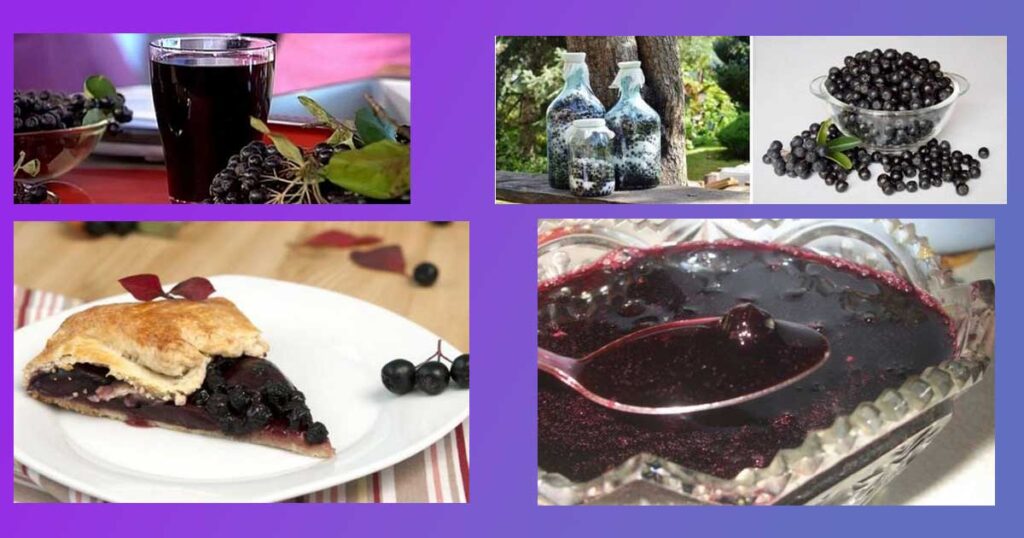 Кои са абсолютните и относителни противопоказания на сок от арония. Странични ефекти.