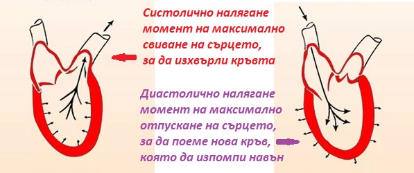 krovno-nalyagane-0251