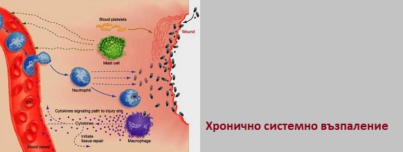 Лечение на шизофрения с лекарства и билк 04