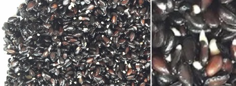 Бял сусам черен сусам 02