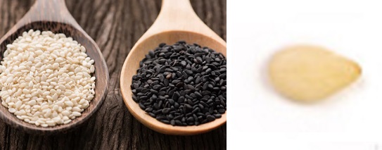 Бял сусам черен сусам н 04