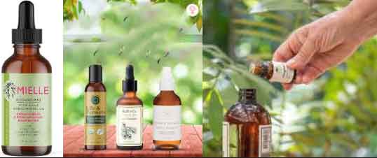 Essential Oils For Scalp And Hair 04
