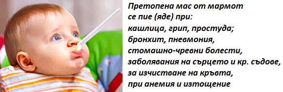 Мас от мармот 02