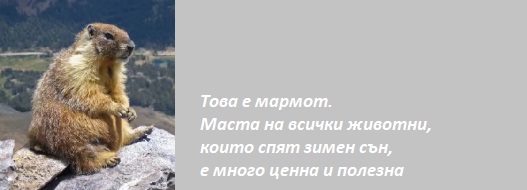 Мас от мармот 061